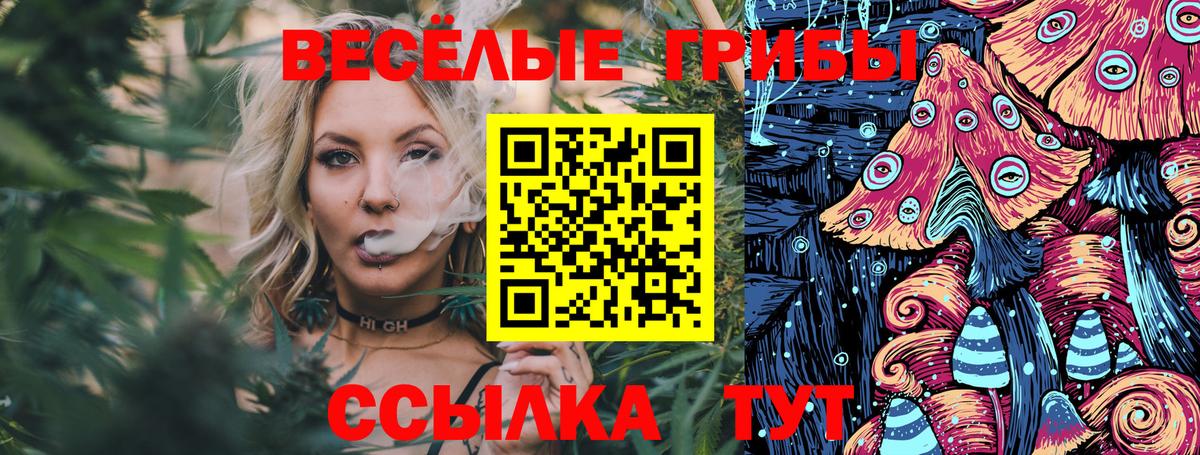 Псилоцибиновые грибы Psilocybine cubensis Энгельс