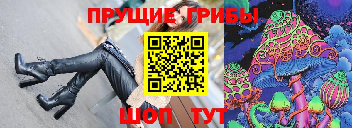 Энгельс  Псилоцибиновые грибы Cubensis  наркошоп  Вход с VPN 